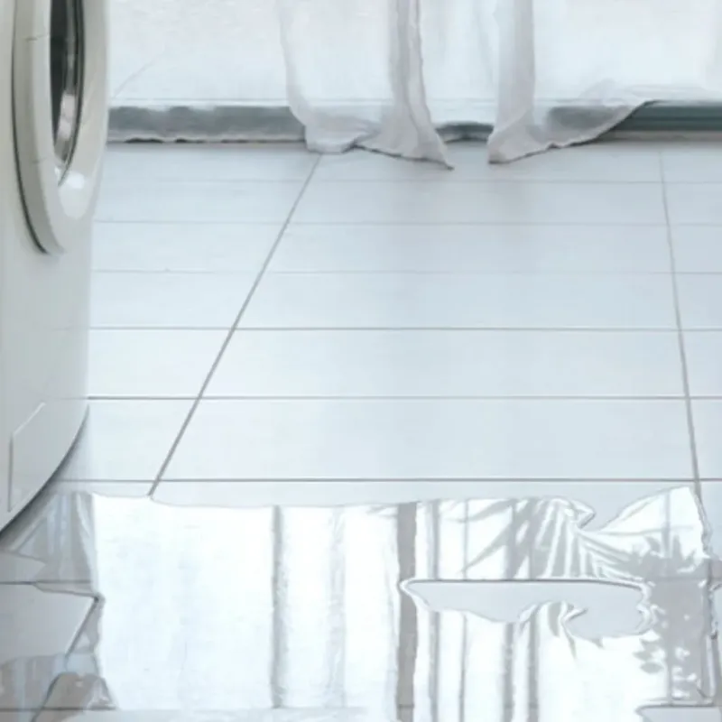 Appliance Leak Cleanup in Edisto, SC